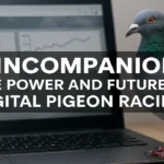 Wincompanion The Digital Backbone of Pigeon Racing