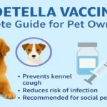 bordetella-vaccine-–-complete-guide-for-pet-owners-2025