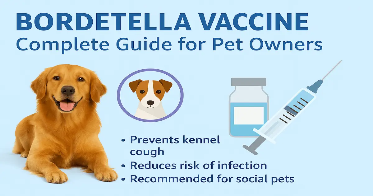bordetella-vaccine-–-complete-guide-for-pet-owners-2025