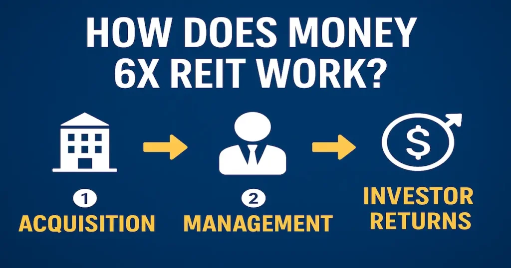How Does Money 6X REIT Work?